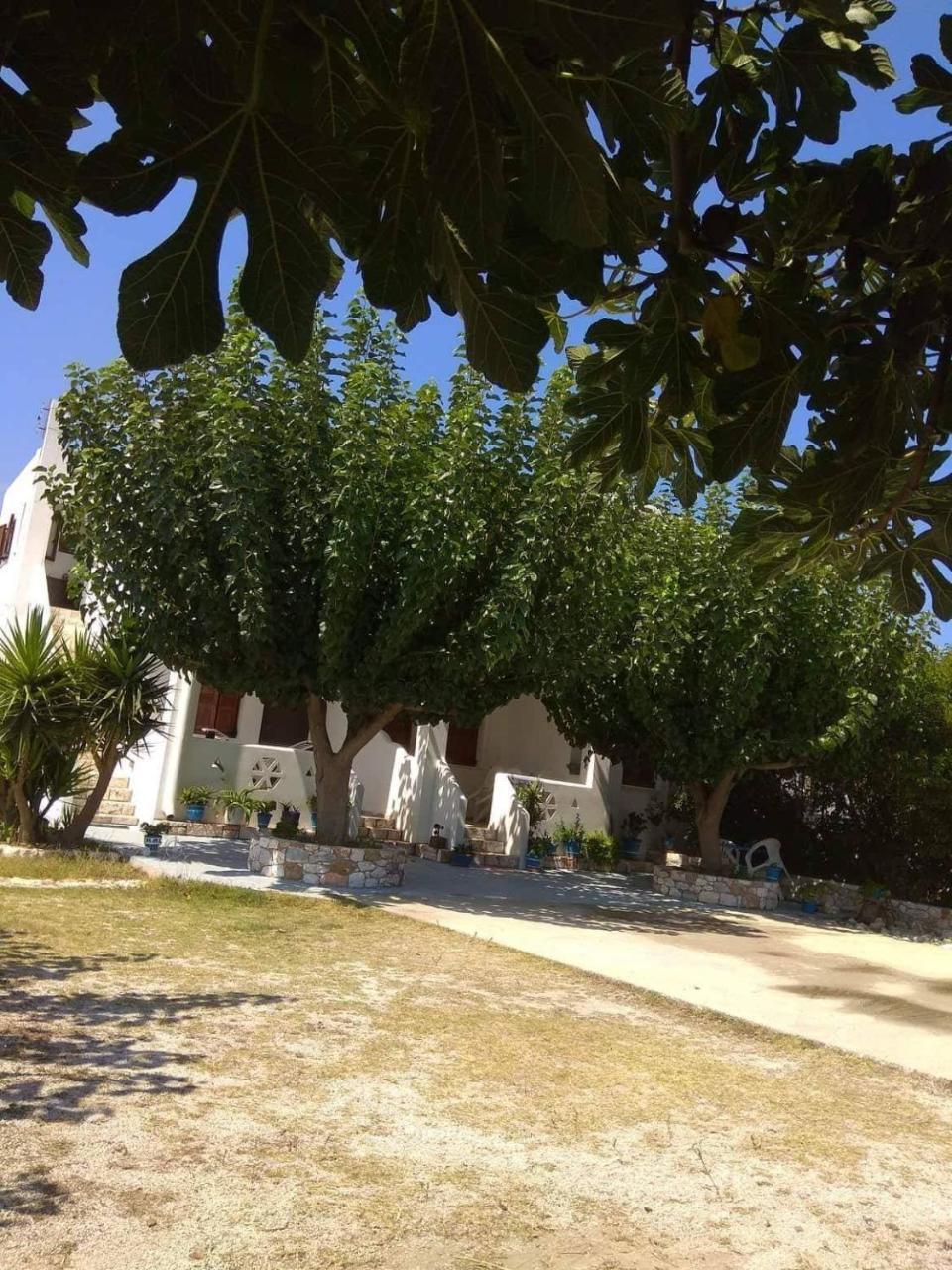 Athena'S Houses Skyros Esterno foto